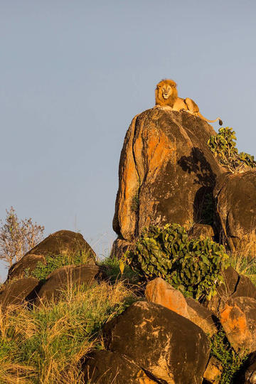 既然指针的本质是地址，那为啥还需要指定数据类型呢？地址不就是一串 0x 数字吗？