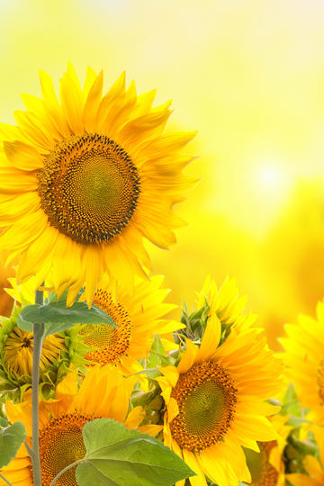 周深为《时间之子》配音深情落泪