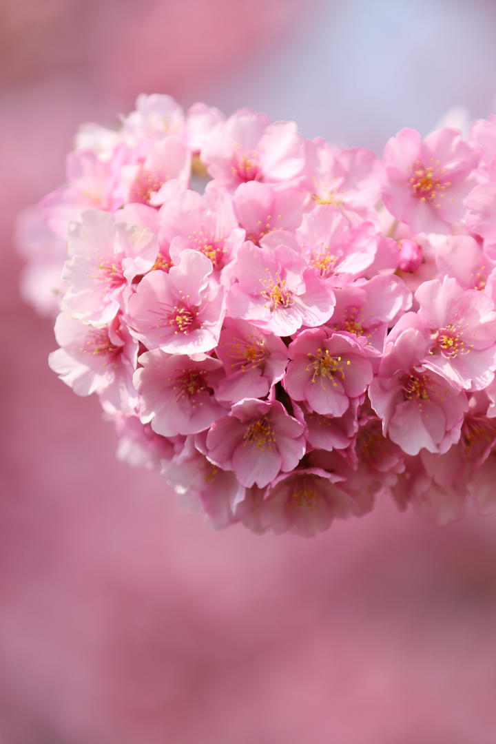 最高法发布涉校园暴力案例