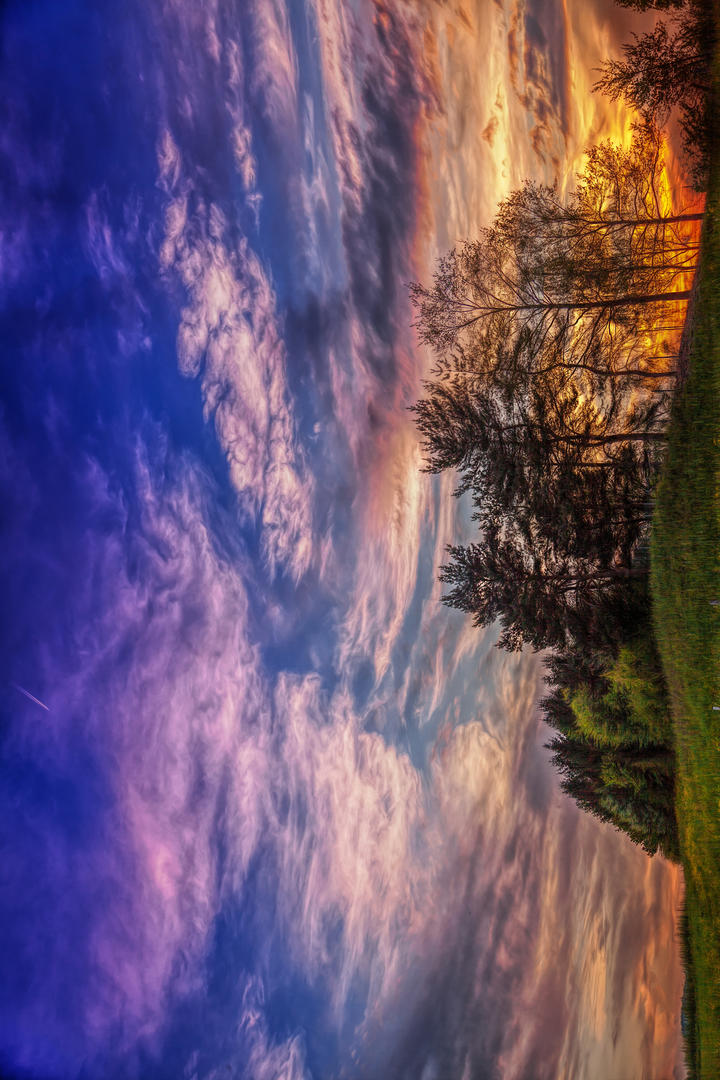 马斯克：DOGE削减1600亿美元政府支出